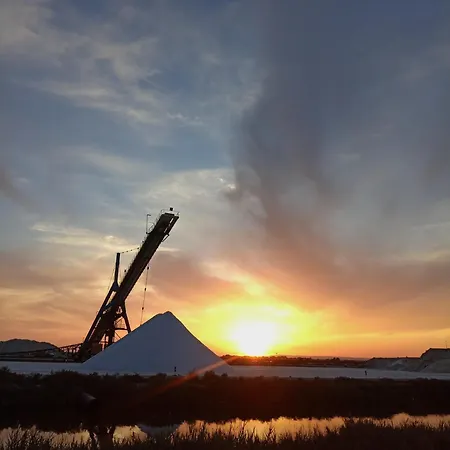 En Camargue Le Petit Secret Du Flamant Pensjonat Le Cailar