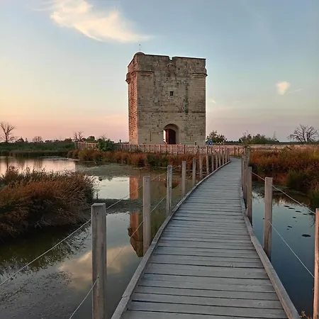 En Camargue Le Petit Secret Du Flamant 3* Le Cailar
