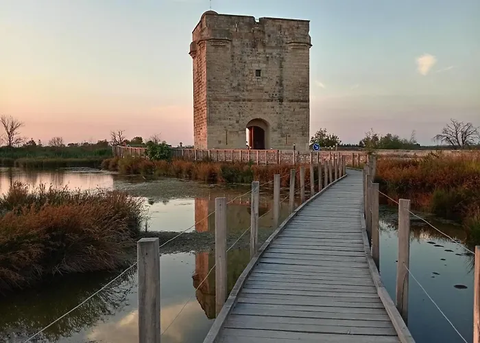 En Camargue Le Petit Secret Du Flamant 3* Le Cailar
